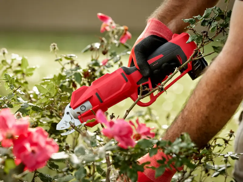 Close view of cordless pruning shear cutting head